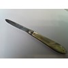 1891 Mother of Pearl Silver bladed folding fruit knife.